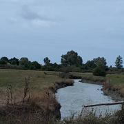 Foussais-Payré 19/08/2019
