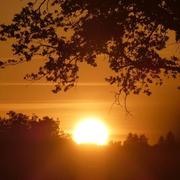 Saint-Junien 22/08/2019