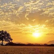 Martres-sur-Morge 24/08/2019