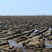 Bourgneuf-en-Retz 24/08/2019