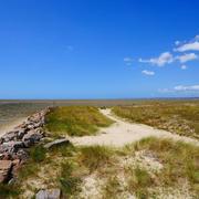 Bourgneuf-en-Retz 24/08/2019