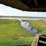 Marais-Vernier 26/08/2019