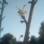 Saint-Viâtre 31/08/2019