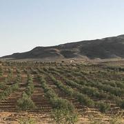 Sidi Bouzid 01/09/2019