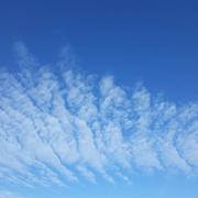 Hinsingen 11/09/2019