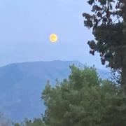 Podgorica 14/09/2019