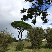 La Chapelle-Hermier 25/09/2019