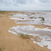 La Faute-sur-Mer 28/09/2019