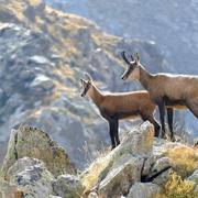 Belvédère 06/10/2019