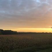 Rivière-Saas-et-Gourby 07/10/2019