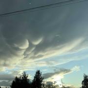 Chartèves 09/10/2019