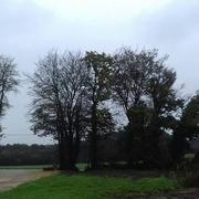 Languidic 12/10/2019