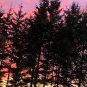 Saint-Dizier 12/10/2019