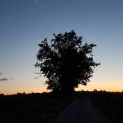 Boueilh-Boueilho-Lasque 13/10/2019