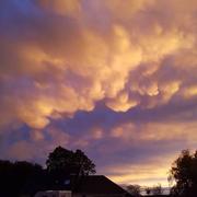 Senneville-sur-Fécamp 14/10/2019