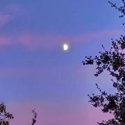 Coufouleux 15/10/2019