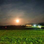 Courtenay 15/10/2019