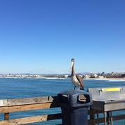 San Diego 18/10/2019