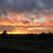 La Roche-sur-Yon 19/10/2019