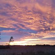 Cintegabelle 19/10/2019