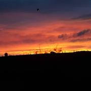 Is-en-Bassigny 22/10/2019