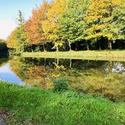 Saint-Grégoire 25/10/2019