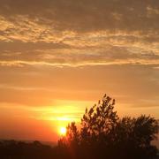 Beni Mester 02/11/2019