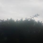 Saint-Louis 03/11/2019