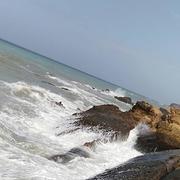 Bir El Djir 05/11/2019