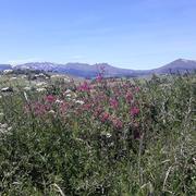 Bassignac 08/11/2019