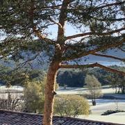 La Martre 09/11/2019