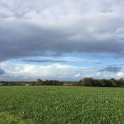 Marillac-le-Franc 10/11/2019