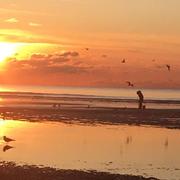 Neufchâtel-Hardelot 10/11/2019