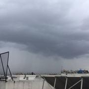 Assoukhour Assawda 11/11/2019