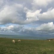 Audinghen 11/11/2019