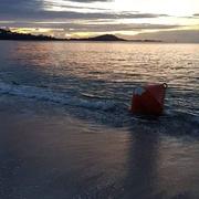 Coggia Maio 12/11/2019