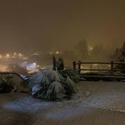 Cours-la-Ville 14/11/2019