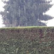 Gretz-Armainvilliers 15/11/2019