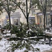 Valence 15/11/2019