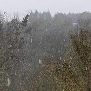 Chalo-Saint-Mars 15/11/2019