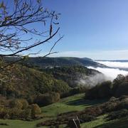 Saint-Cyprien-sur-Dourdou 18/11/2019