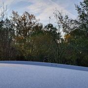 Lys-Saint-Georges 20/11/2019