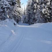 Bellefontaine 24/11/2019