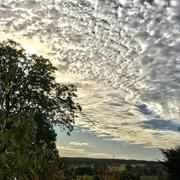 Couloutre 24/11/2019