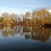 Chambilly 24/11/2019