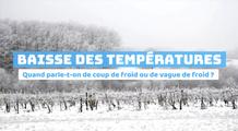 Coup de froid et vague de froid : quelles différences ?