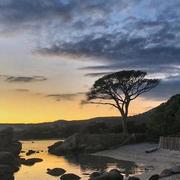 Coggia Maio 29/11/2019