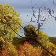 Saint-Martin 01/12/2019