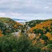 Saint-Martin-de-Londres 03/12/2019