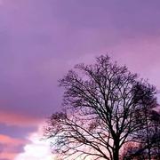 Yssingeaux 13/12/2019